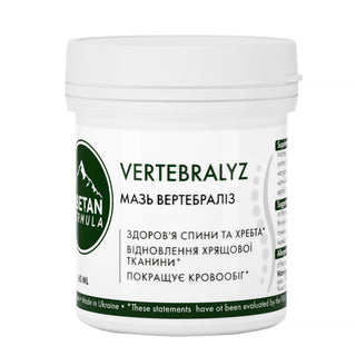 Вертебрализ мазь / Vertebralyz 60 мл