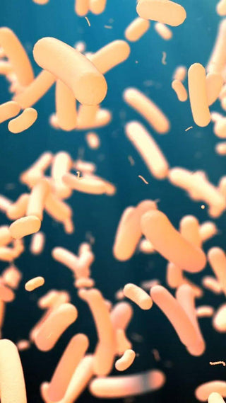 Мікробіом кишківника: ключ до здоров’я і балансу організму