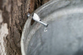 Бетулін: в чому користь для оргазму