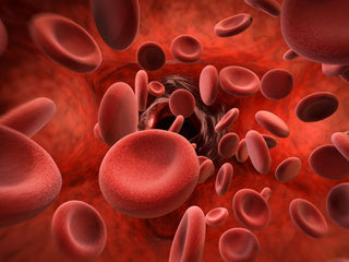 Як гемонем впливає на енергію та життєвий тонус